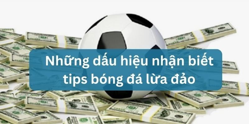 cách mua tip bóng đá