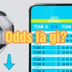 Odds là gì? Hướng dẫn cách đọc 3 loại tỷ lệ kèo bóng đá phổ biến nhất hiện nay