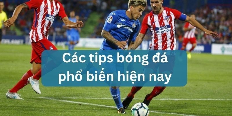 tips bóng đá uy tín