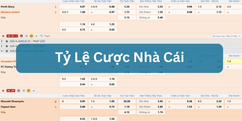 tỷ lệ cược nhà cái