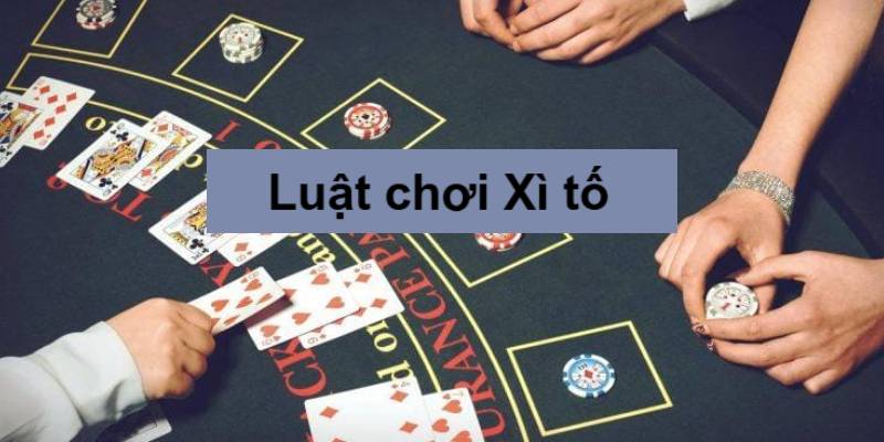 Luật chơi Xì tố cơ bản cho người mới bắt đầu