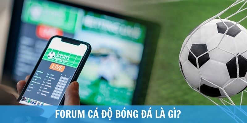 diễn đàn cá cược uy tín