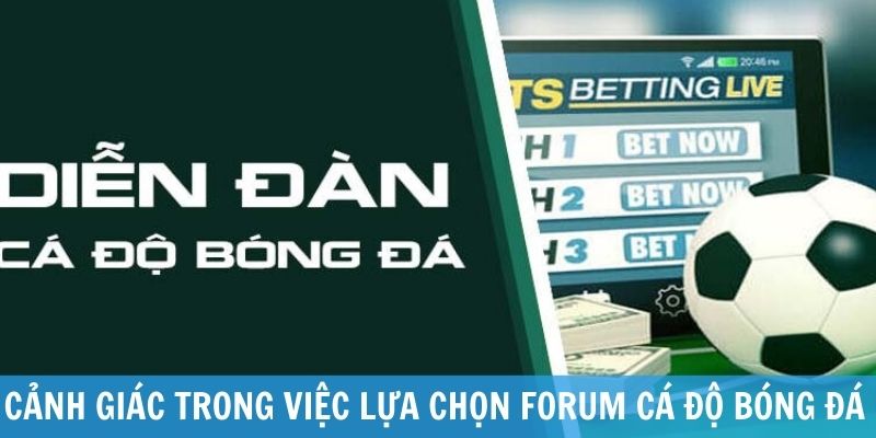 diễn đàn cá độ bóng đá