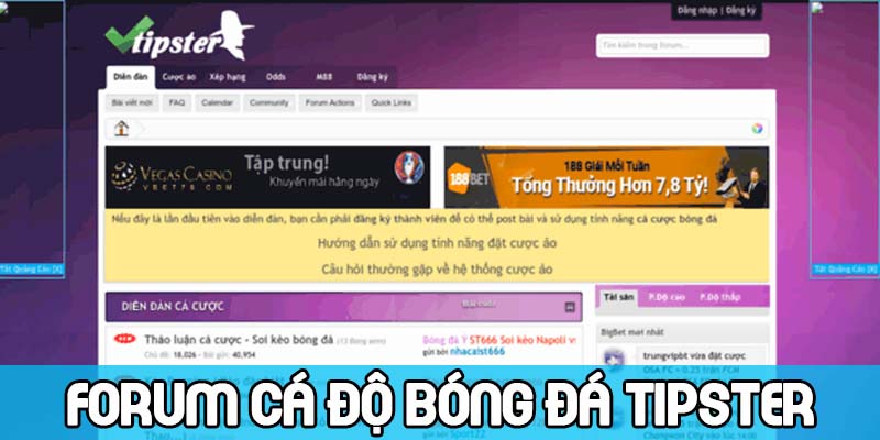 diễn đàn ca độ uy tín
