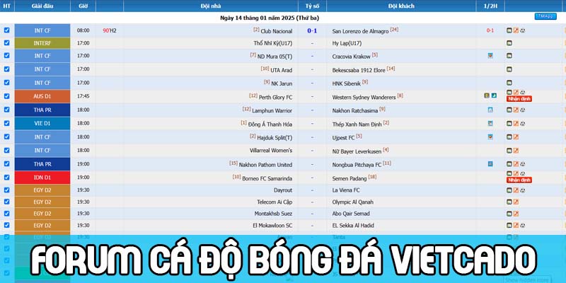 diễn đàn cá độ