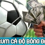 Tổng hợp forum cá độ bóng đá, diễn đàn cá cược uy tín