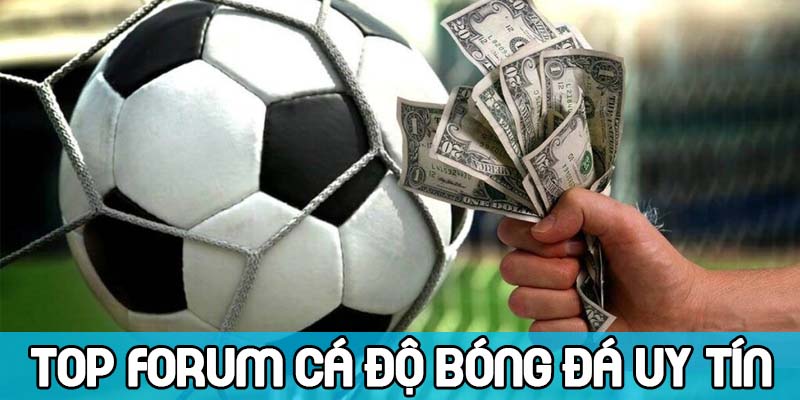 Tổng hợp forum cá độ bóng đá, diễn đàn cá cược uy tín