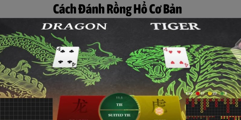 rồng hổ là gì